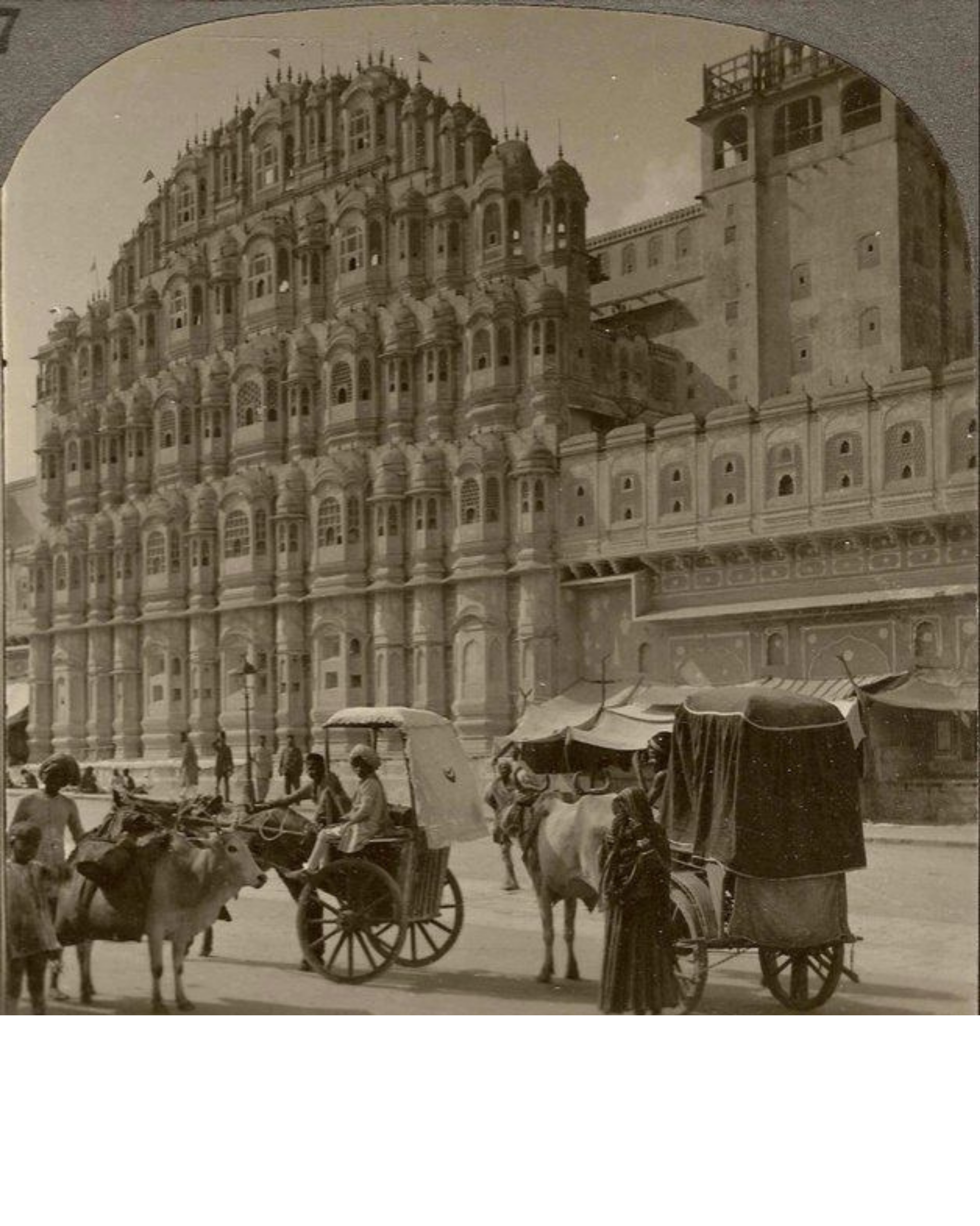 Section Image